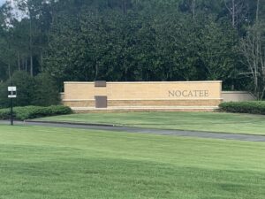 Nocatee homes for sale